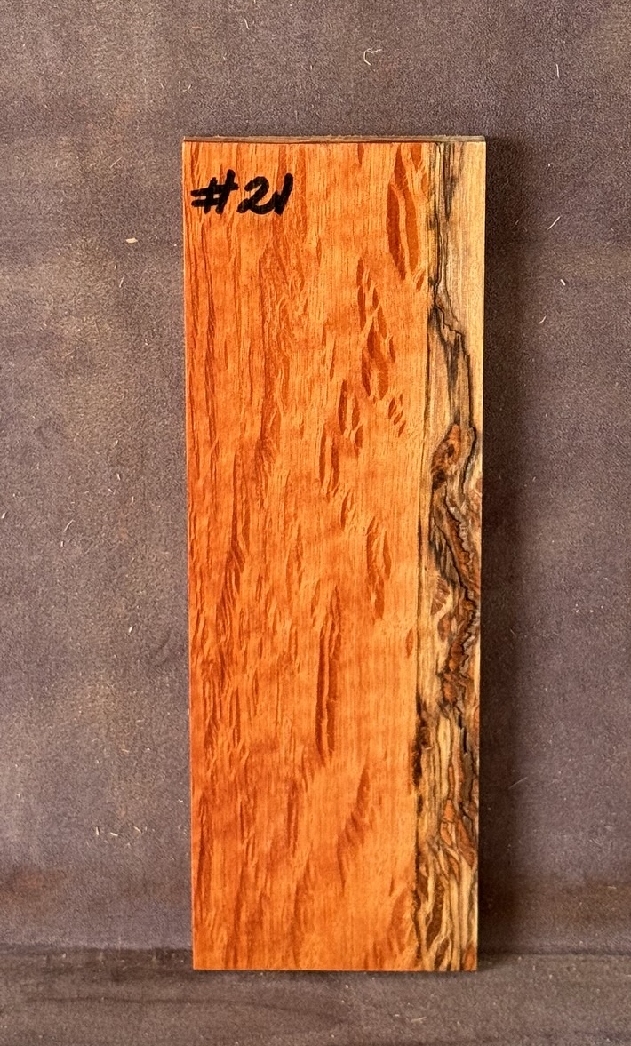 Quarter sawn, Rose Sheoak Bridge for Luthiery