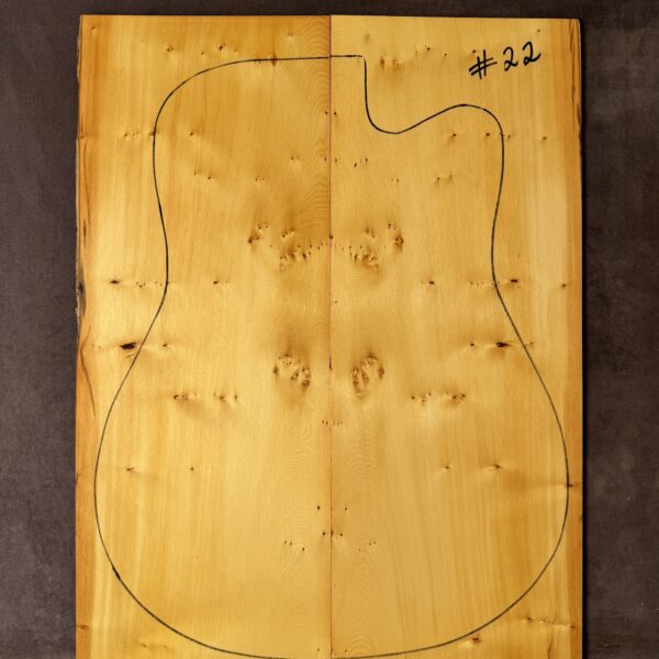Huon Pine Soundboard #22