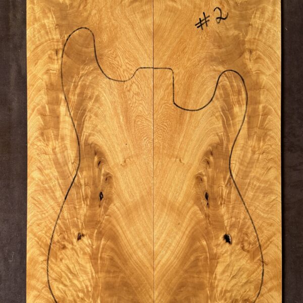 Electric Guitar Jacaranda TOP