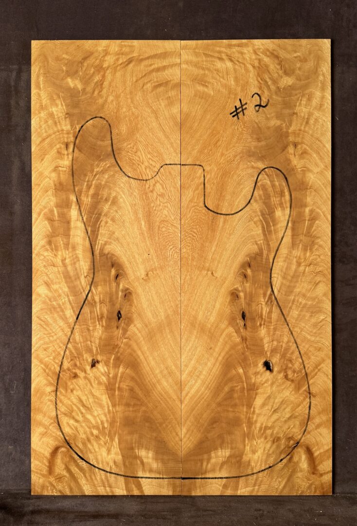 Electric Guitar Jacaranda TOP