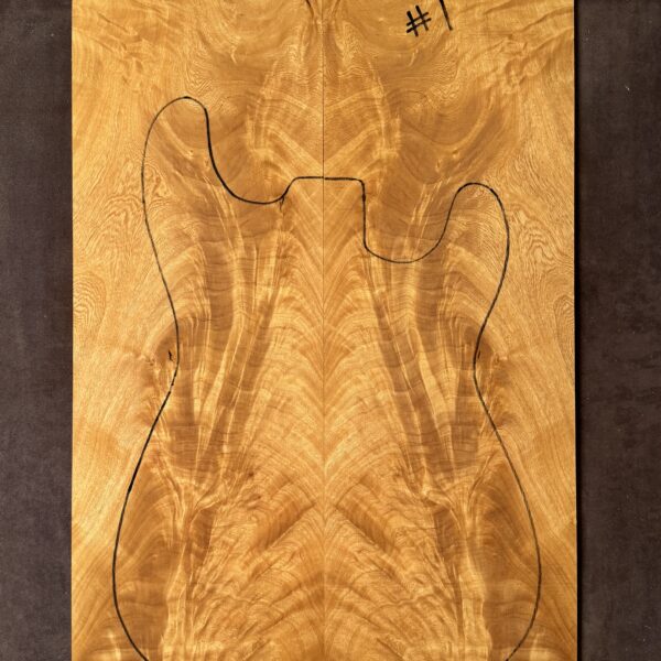 Electric Guitar Jacaranda TOP