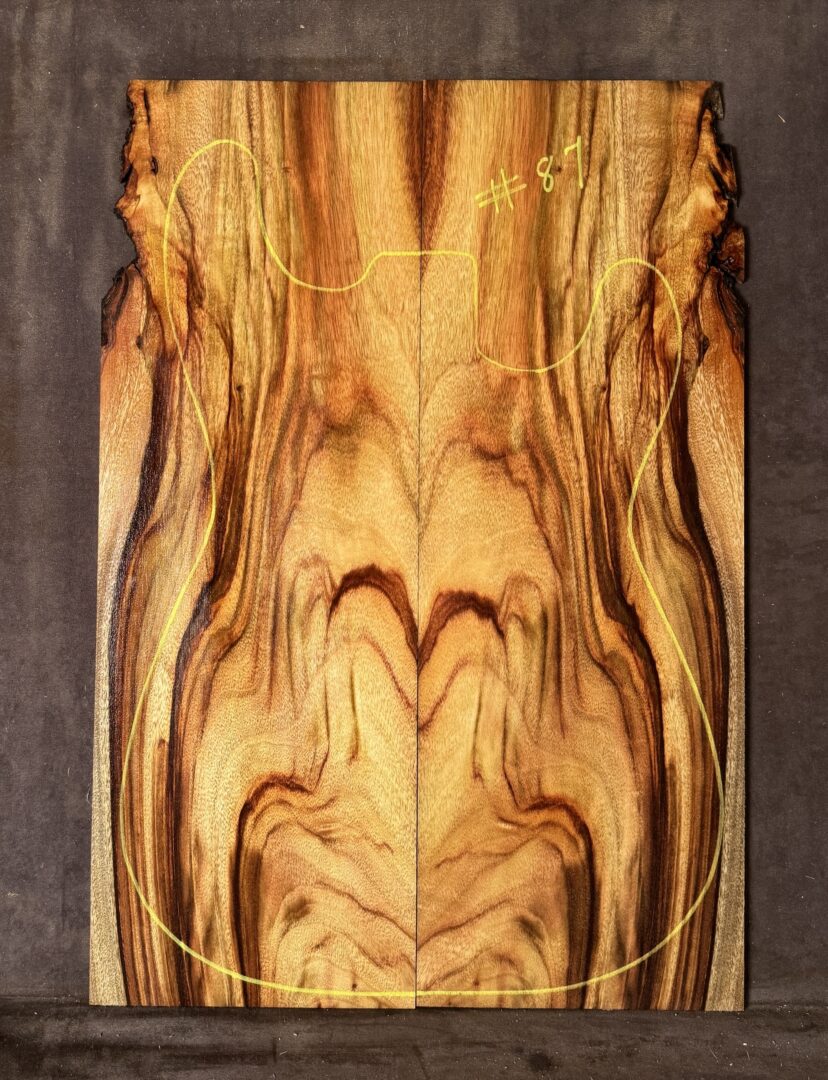 Electric guitar Camphor Laurel TOP
