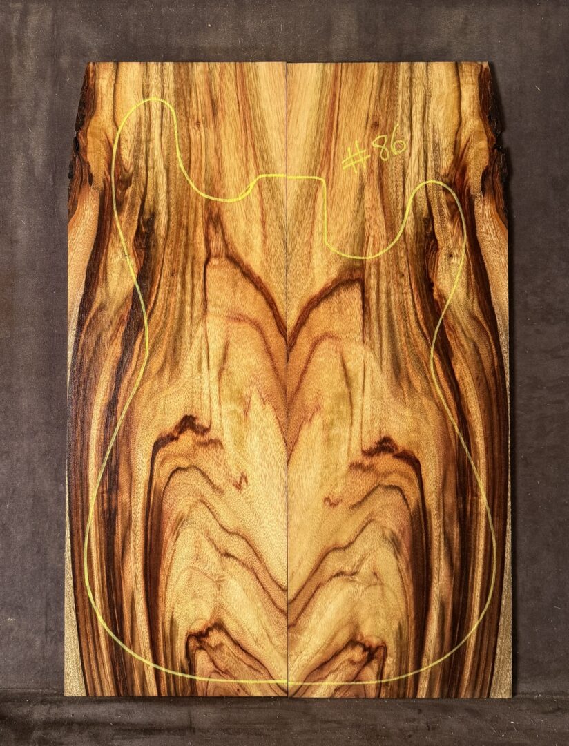 Electric guitar Camphor Laurel TOP