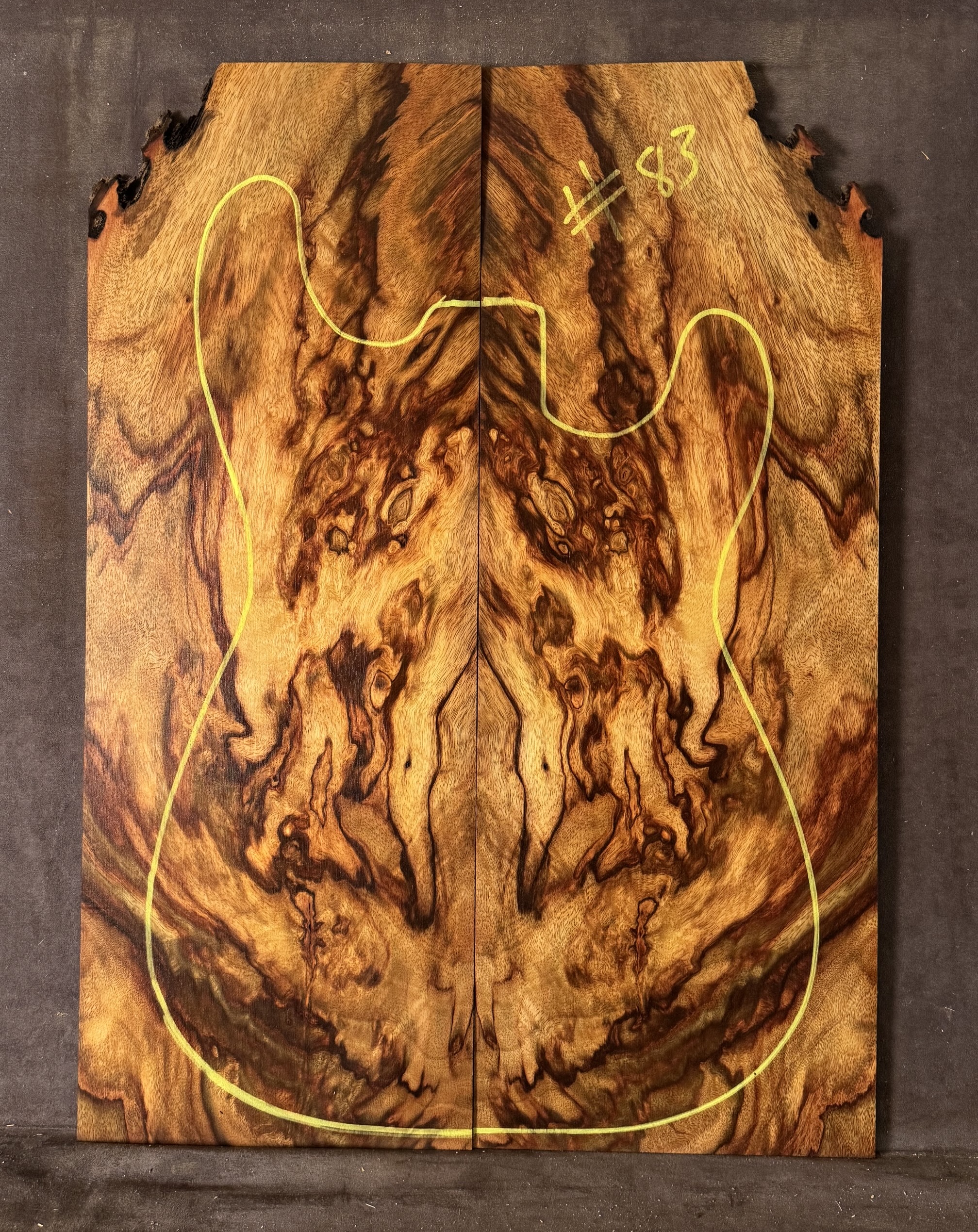 Electric guitar Camphor Laurel TOP
