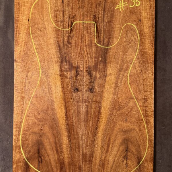 Electric Guitar Blackwood TOP