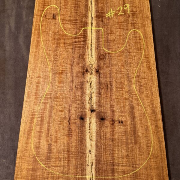 Electric Guitar Blackwood TOP