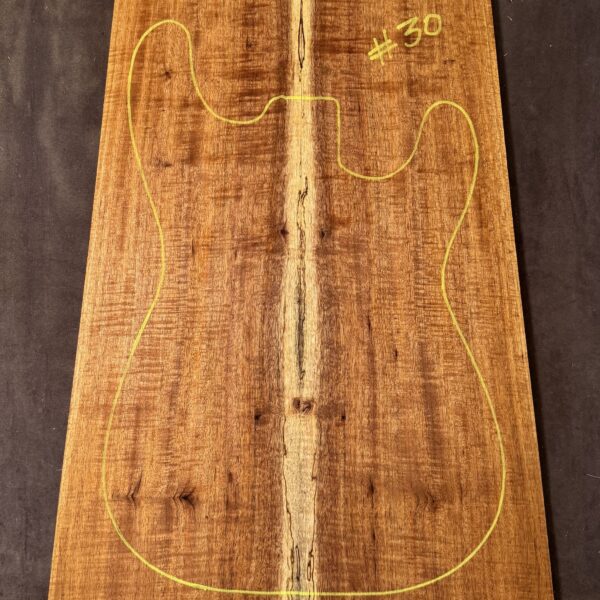 Electric Guitar Blackwood TOP