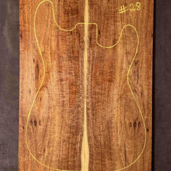 Electric Guitar Blackwood TOP