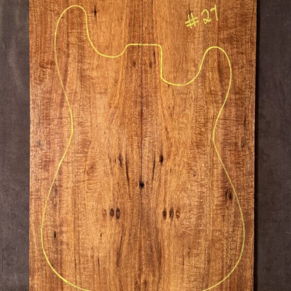 Electric Guitar Blackwood TOP