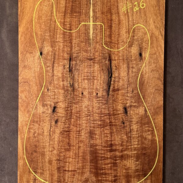 Electric Guitar Blackwood TOP