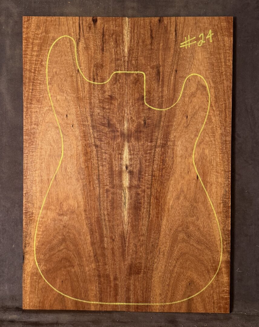 Electric Guitar Blackwood TOP