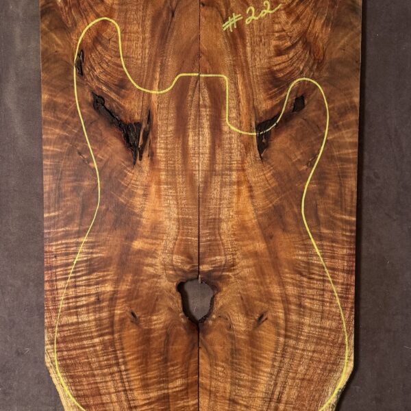 Electric Guitar Blackwood TOP
