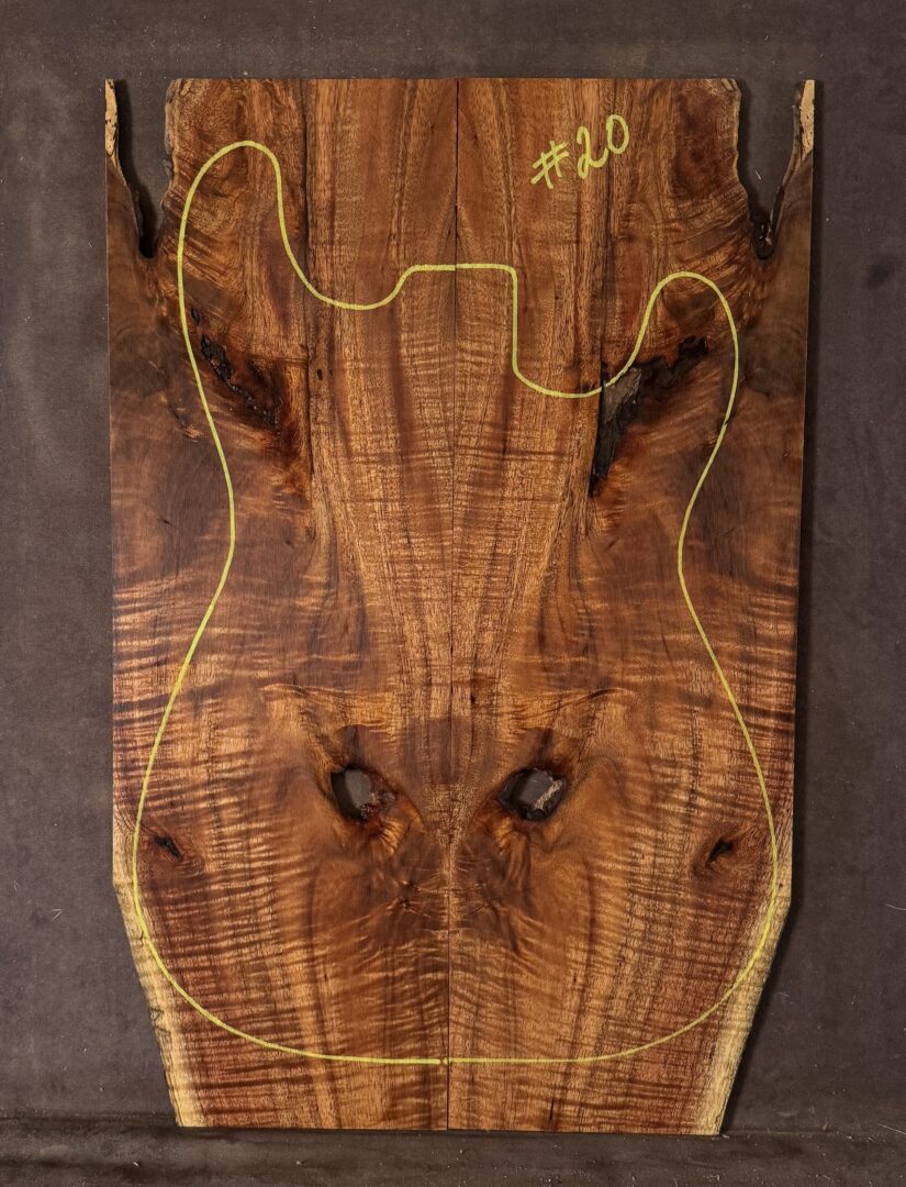 Electric Guitar Blackwood TOP