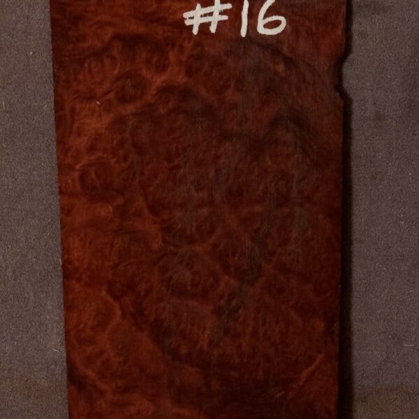 Acoustic or Electric Guitar Red Mallee Burl Headstock Veneer