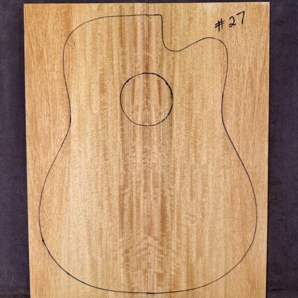 Acoustic Guitar Silver Quandong Soundboard