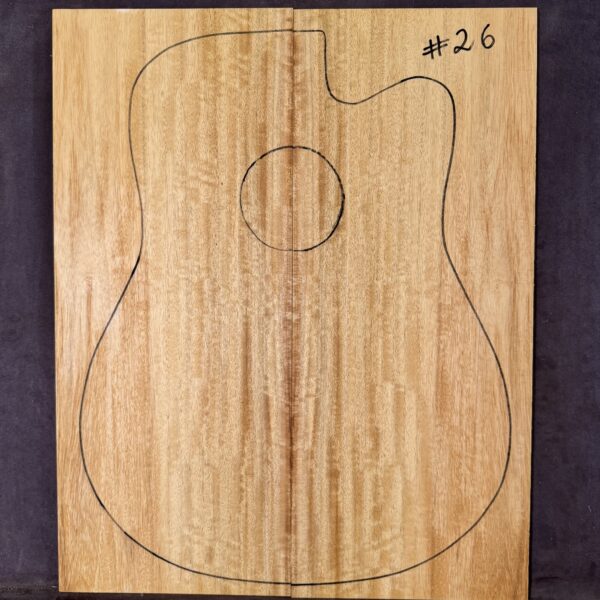 Acoustic Guitar Silver Quandong Soundboard