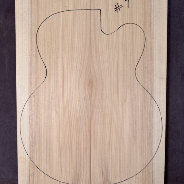 Archtop Guitar Bunya Pine Soundboard