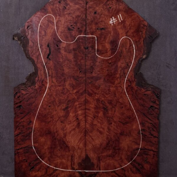 Blue Gum Burl Electric Guitar TOP