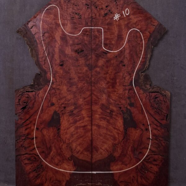 Blue Gum Burl Electric Guitar TOP