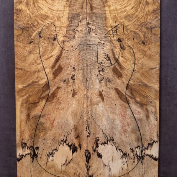 Electric Guitar Spalted Silver Quandong TOP