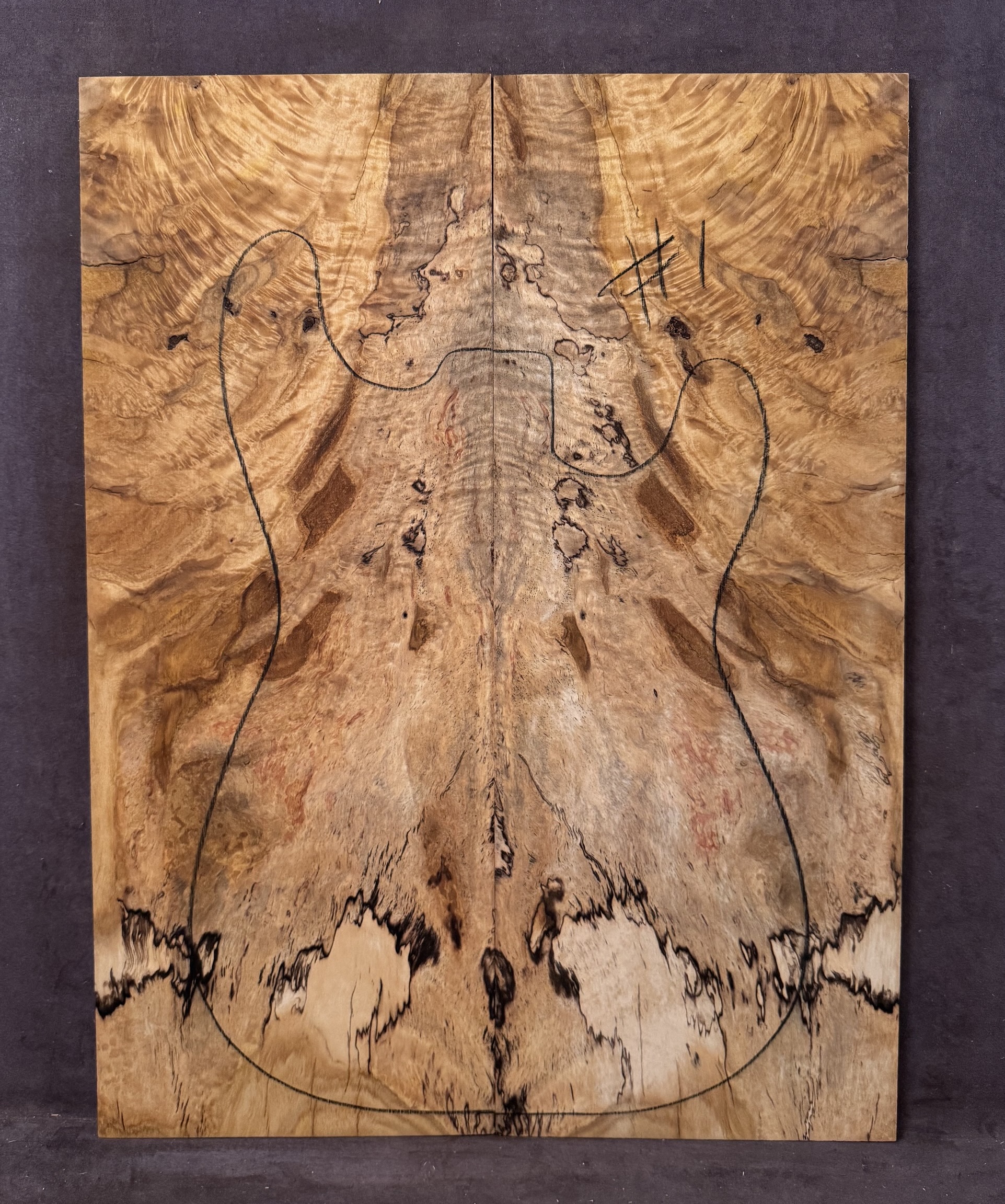 Electric Guitar Spalted Silver Quandong TOP