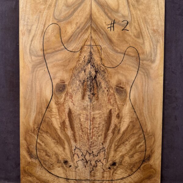 Electric Guitar Spalted Silver Quandong TOP