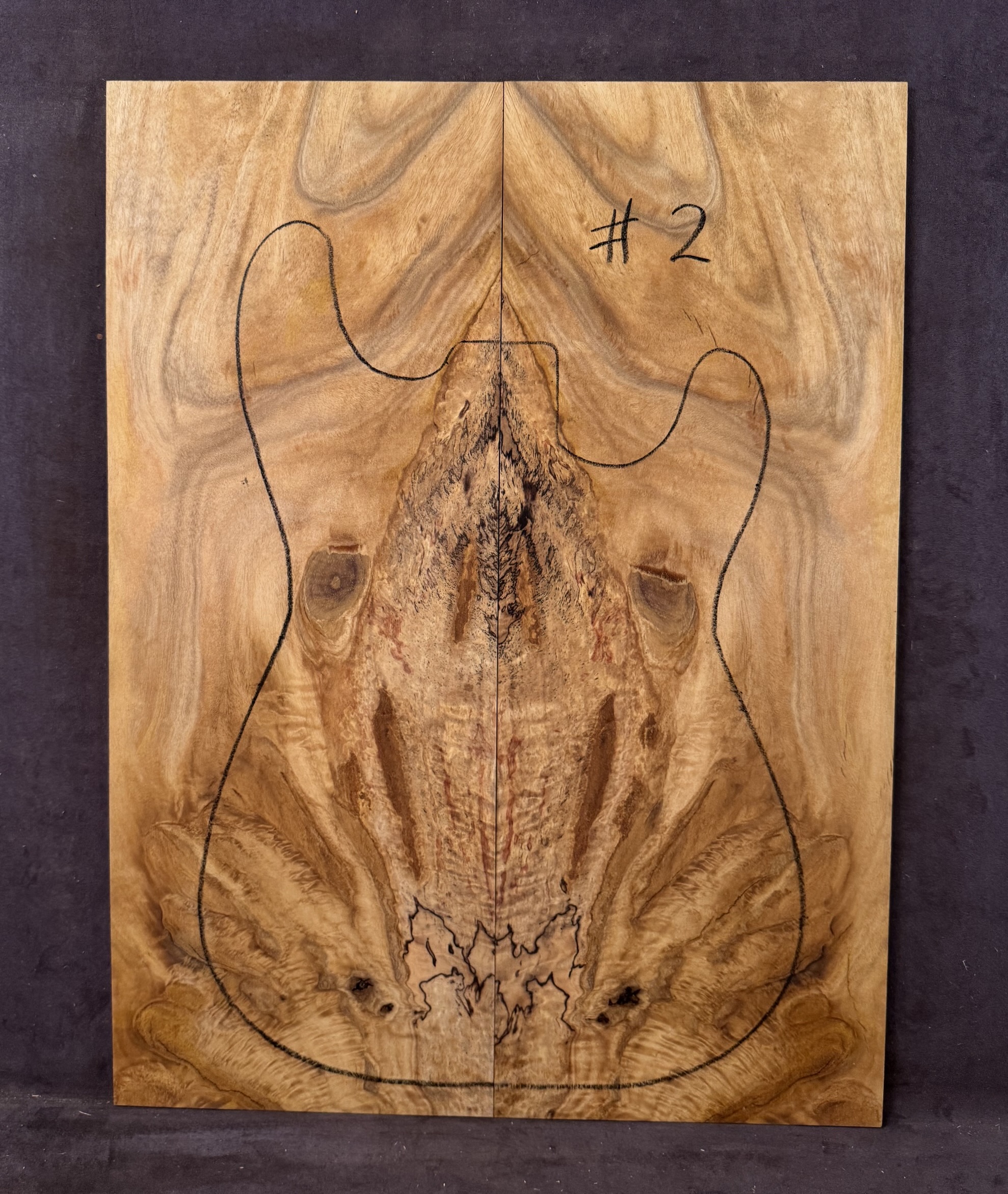 Electric Guitar Spalted Silver Quandong TOP