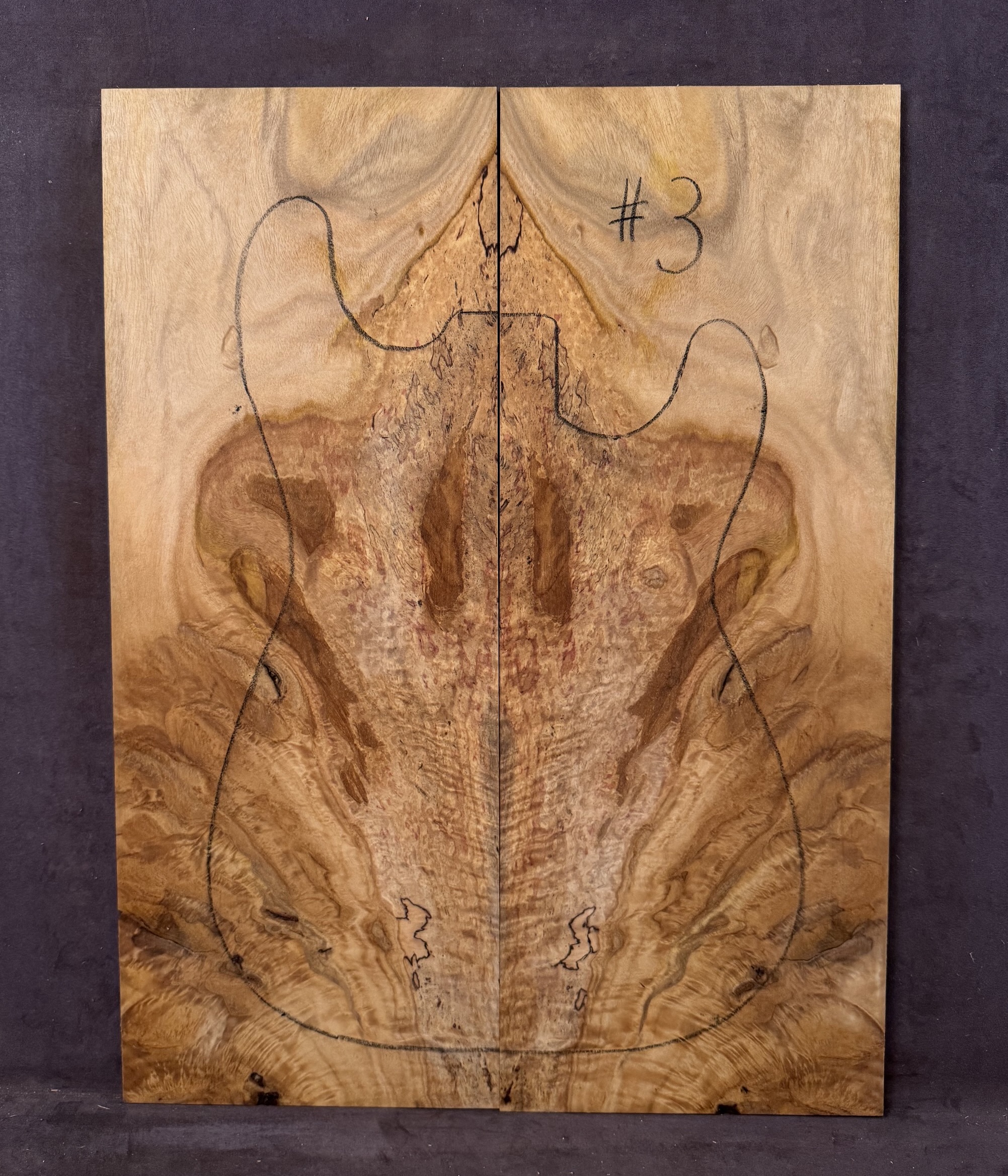 Electric Guitar Spalted Silver Quandong TOP