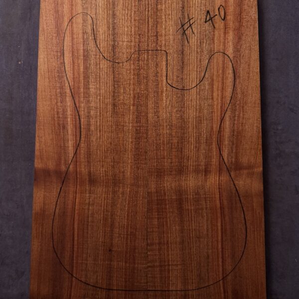 Blackwood Electric Guitar Carved CAP