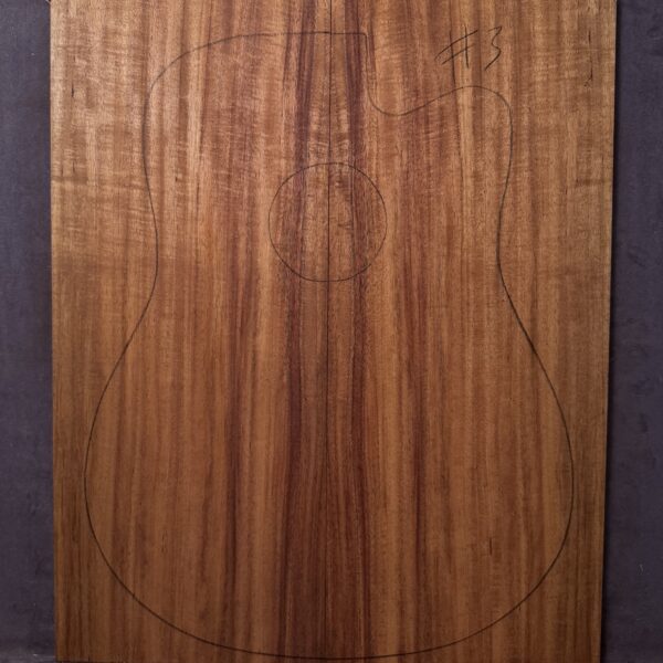 Acoustic Guitar Blackwood Soundboard