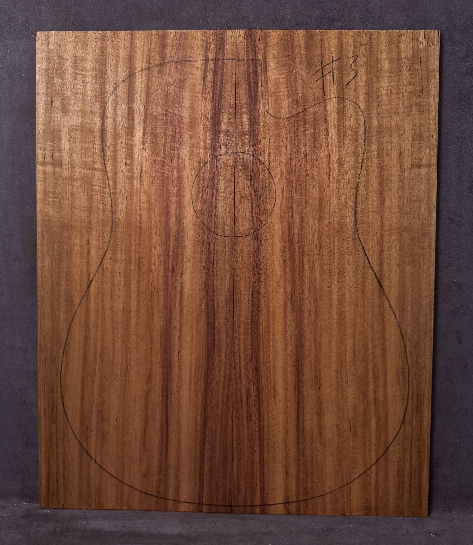 Acoustic Guitar Blackwood Soundboard