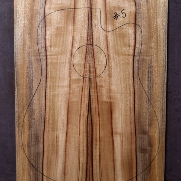 Acoustic Guitar Camphor Laurel Soundboard