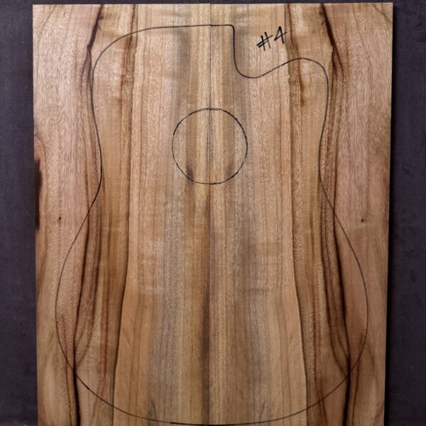 Acoustic Guitar Camphor Laurel Soundboard