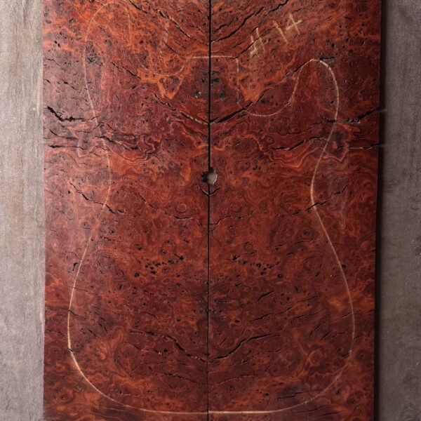 Blue Gum Burl Electric Guitar TOP