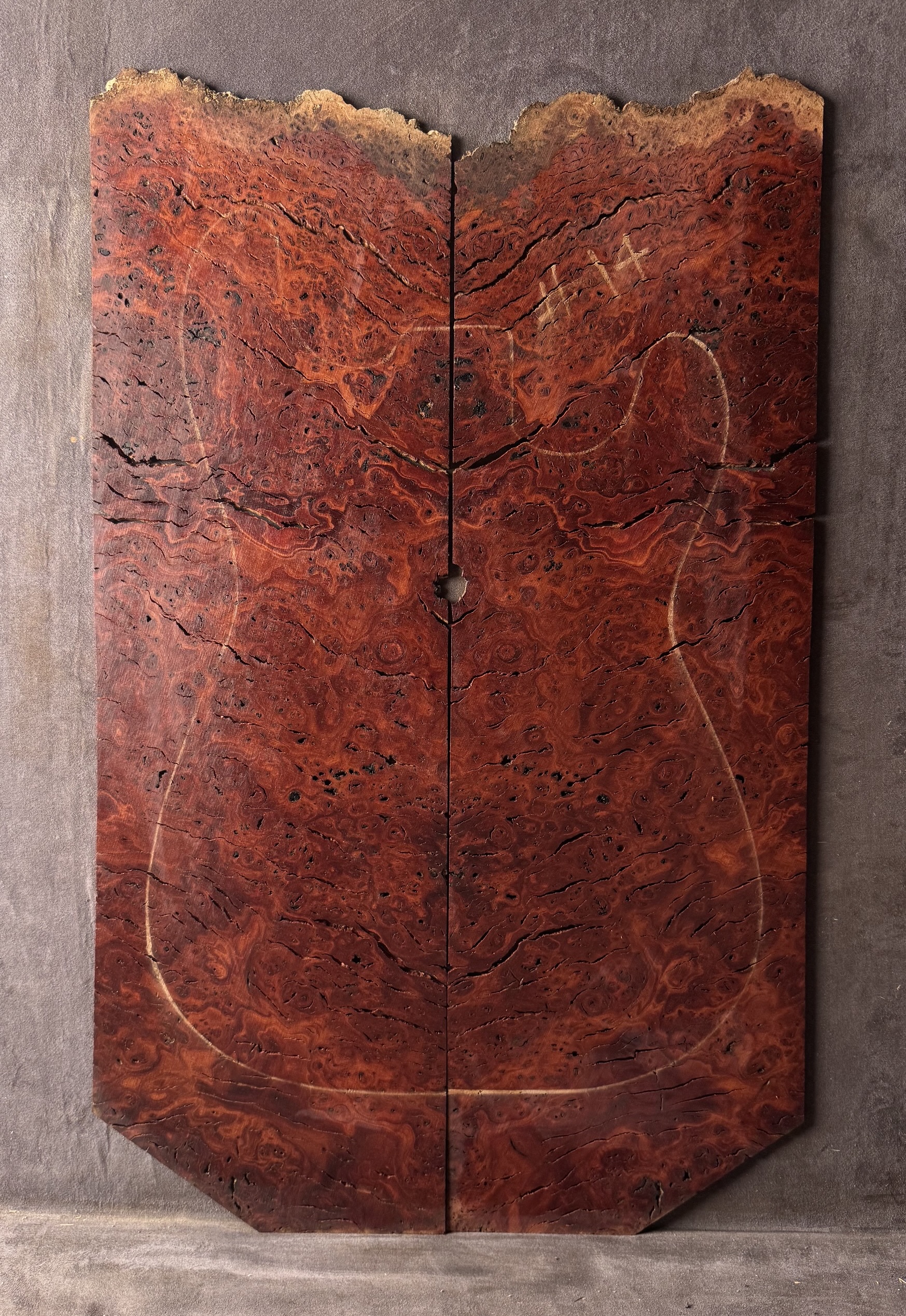 Blue Gum Burl Electric Guitar TOP