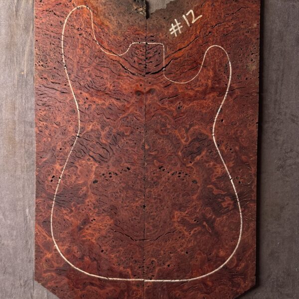 Blue Gum Burl Electric Guitar TOP