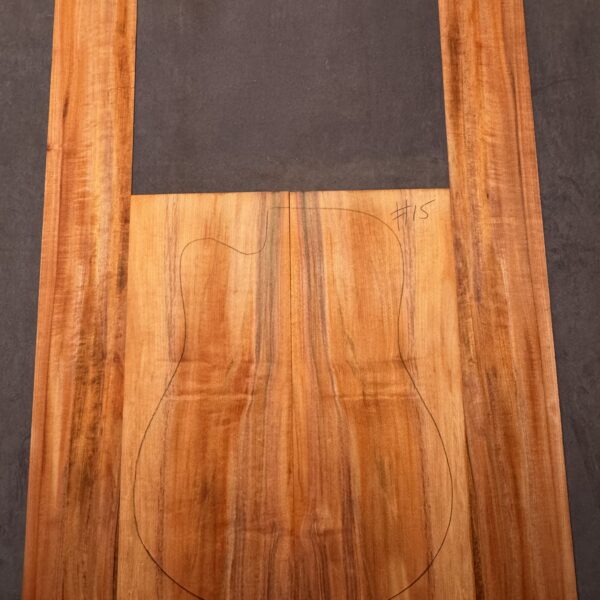 Acoustic Guitar Tasmanian Myrtle Back and Sides
