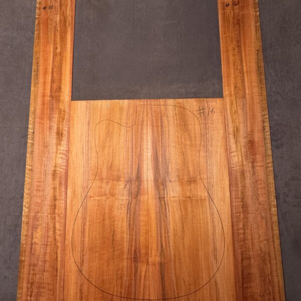 Acoustic Guitar Tasmanian Myrtle Back and Sides