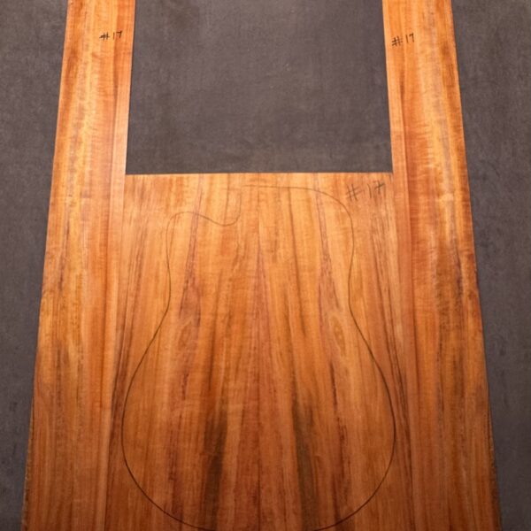 Acoustic Guitar Tasmanian Myrtle Back and Sides