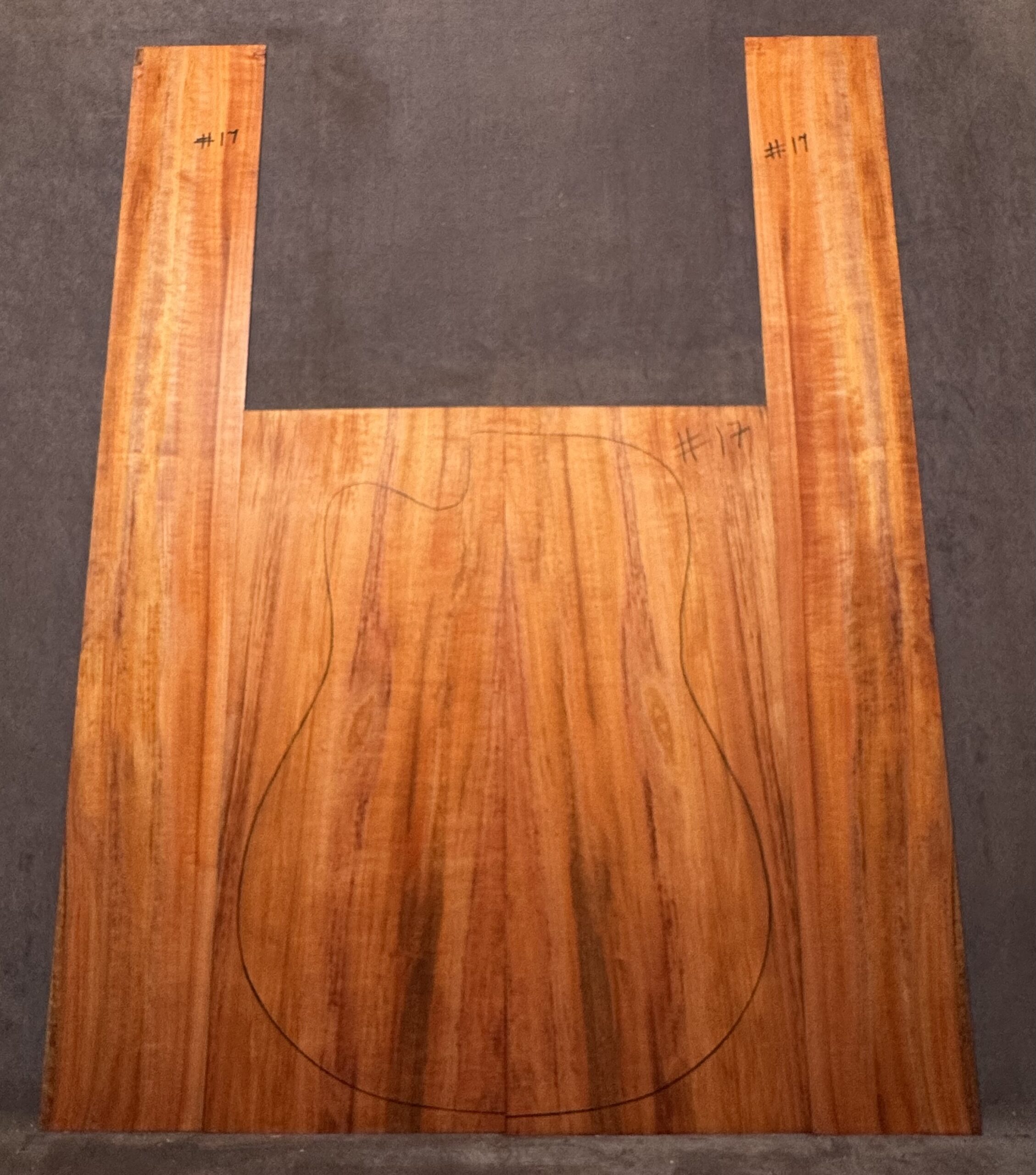 Acoustic Guitar Tasmanian Myrtle Back and Sides