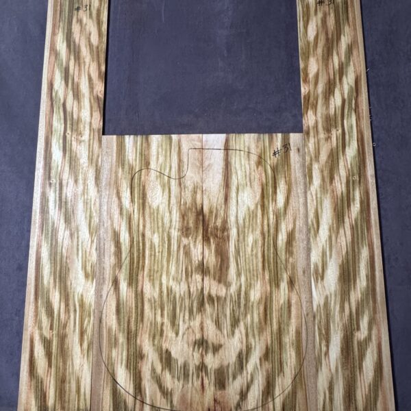 Acoustic Guitar Camphor Laurel Back and Sides