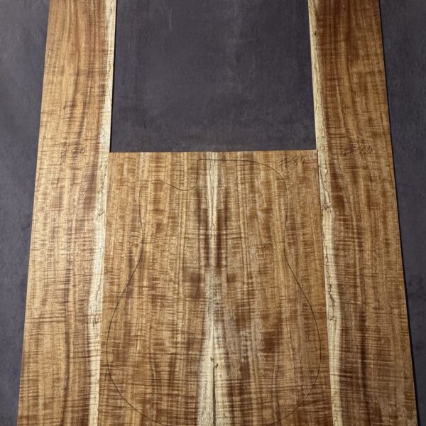 Acoustic Guitar Fiddleback Blackwood Back and Sides