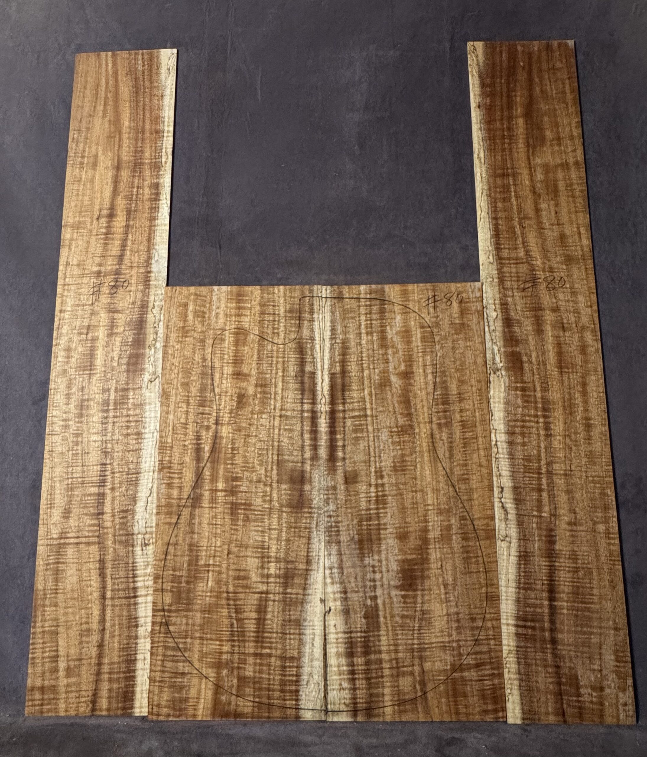 Acoustic Guitar Fiddleback Blackwood Back and Sides