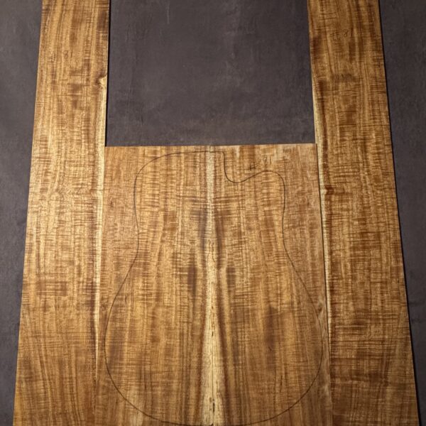 Acoustic Guitar Fiddleback Blackwood Back and Sides