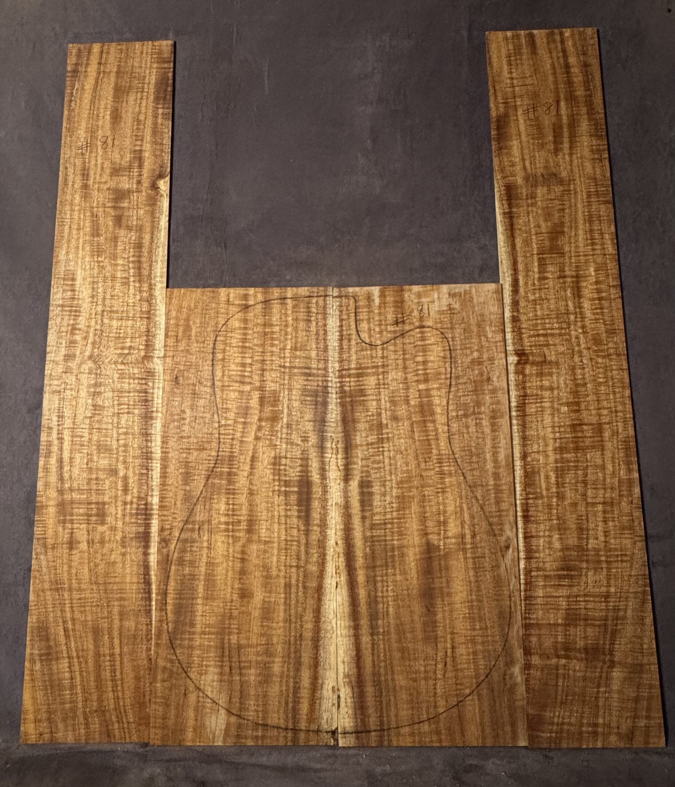 Acoustic Guitar Fiddleback Blackwood Back and Sides